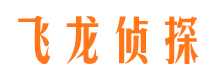 高阳市调查公司